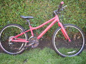 halfords carrera saruna